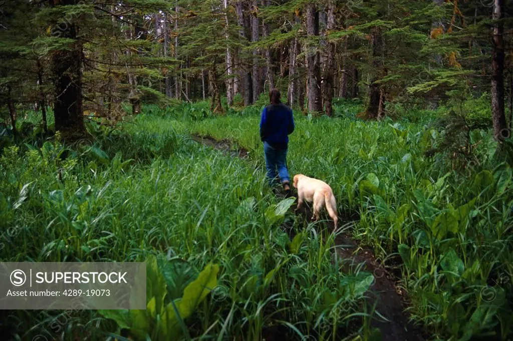 Woman & Dog Hiking on Foot Trails Tongass National Forest Southeast Alaska Summer near Juneau