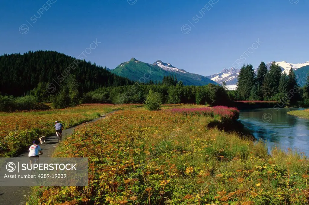 People Biking Next to Mendenhall River Juneau Southeast Alaska summer scenic