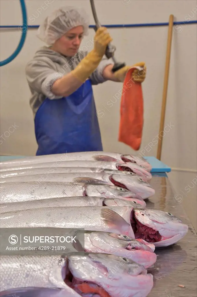 Dancing Salmon fish processing facility, Dillingham, AK