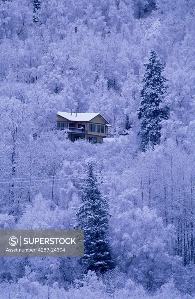 Home on Hillside Frosted Trees Anchorage Winter