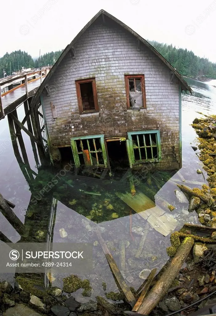 Old house on Warm Springs Bay fallen into water Chatham Strait Baranof Island Southeast AK Summer