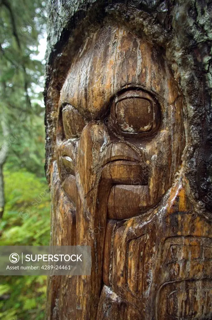 Tree Carved w/Tlingit Native Design Mt Roberts AK SE Juneau Spring