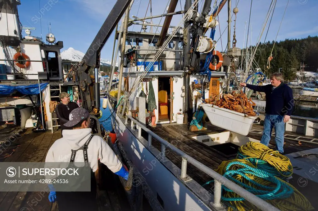 King Crab being unloaded in the harbor for transport to a processing plant and then on to markets nation wide, Juneau, Alaska.