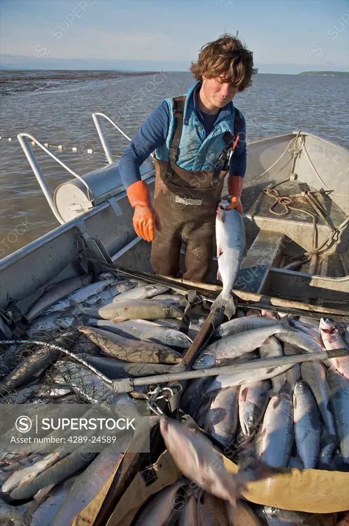 Bristol Bay set net commercial fishermen near Dillingham, Alaska