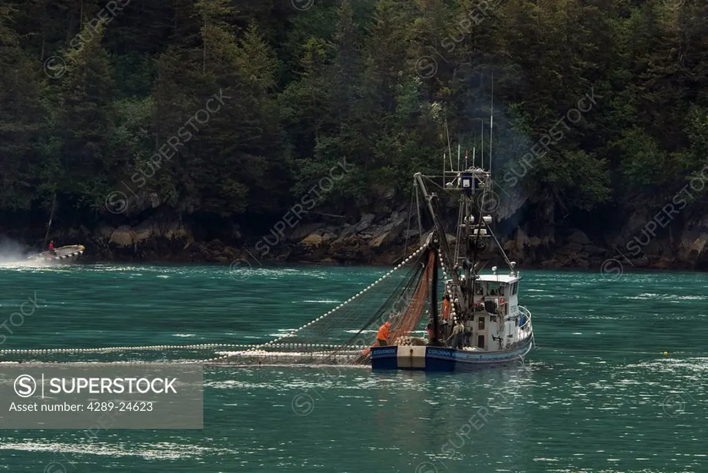 View of the purse seiner Equinox fishing for salmon along the Valdez Narrows, Prince William Sound, Southcentral Alaska