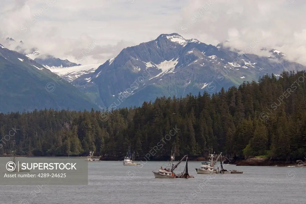 A group of seiners in Prince William Sound and Valdez Narrows during the commercial fishing season in Southcentral Alaska