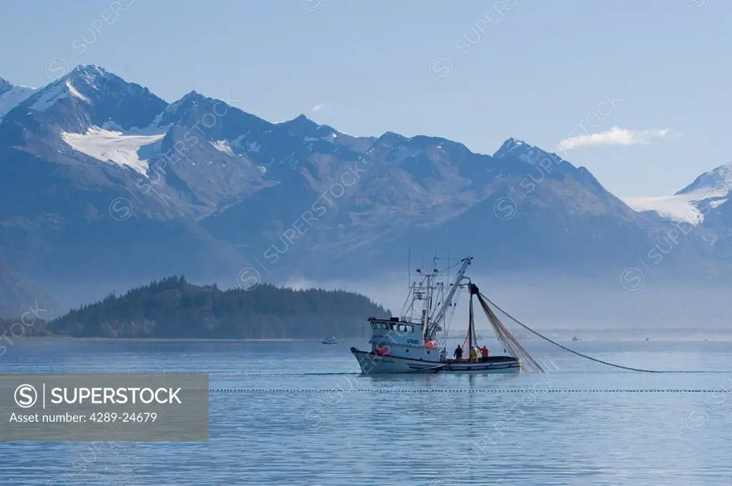 Commercial seiner fishing boat working in Port Valdez Prince William Sound Alaska Southcentral Autumn