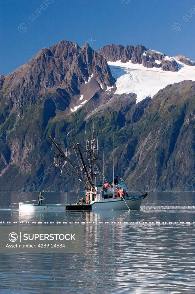 Commercial fishing boat *Malamute Kid* seining for silver salmon Port Valdez Prince William Sound Alaska