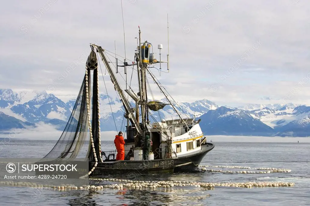 Commercial fishing seiner fishing for salmon in Prince William Sound Alaska