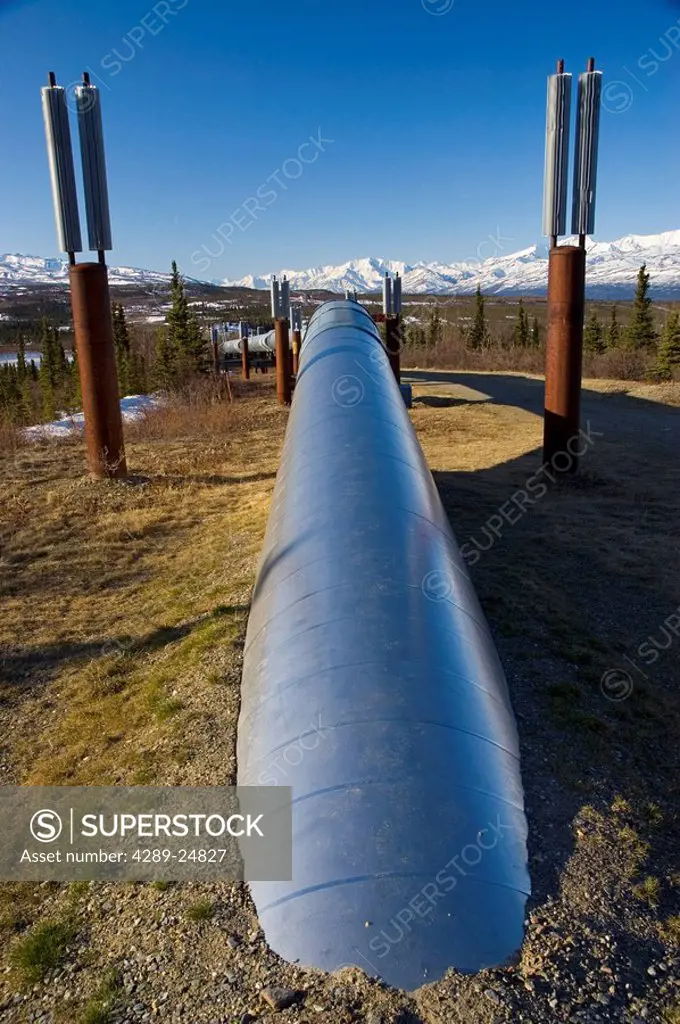 Trans_Alaska Pipeline along Richardson Highway south of Delta Junction Alaska Range in background Interior Alaska