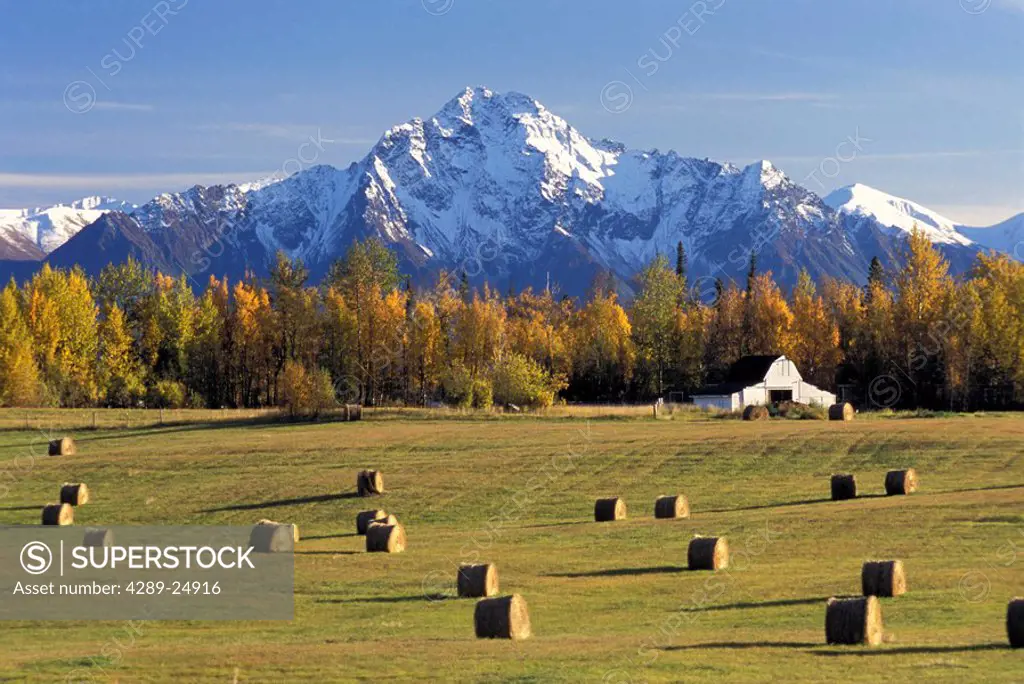Mat_Su Hay Farm w/Pioneer Peak Autumn SC Alaska/nChugach Mtns