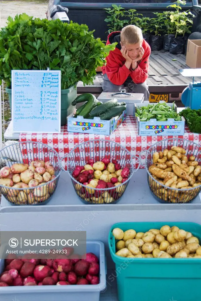 A produce vendor waiting for customers at the Homer Farmer´s Market on the Kenai Peninsula, Alaska