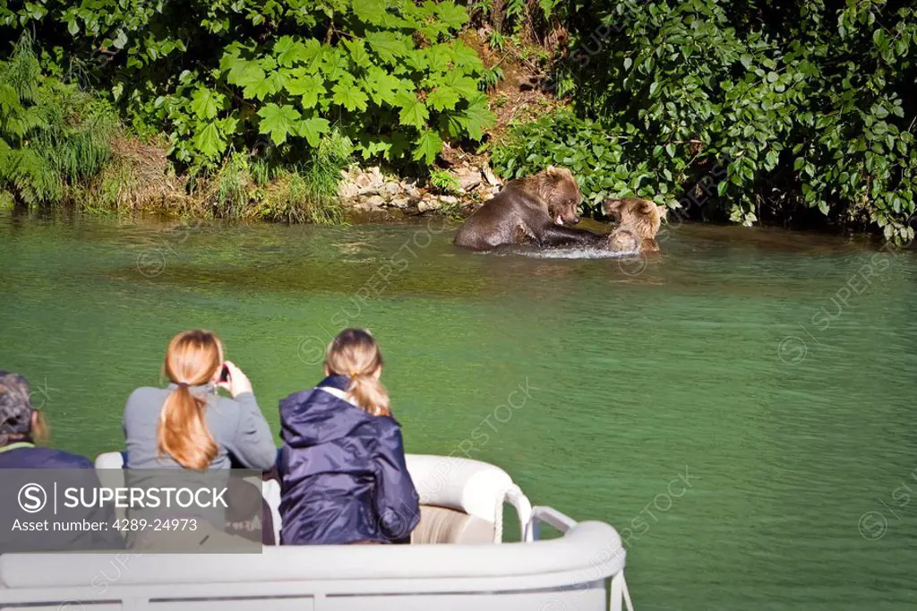 Guests of Redoubt Bay Lodge view Grizzly bears from pontoon boat in Wolverine Cove on Big River Lakes in Redoubt Bay State Critical Habitat Area, Sout...