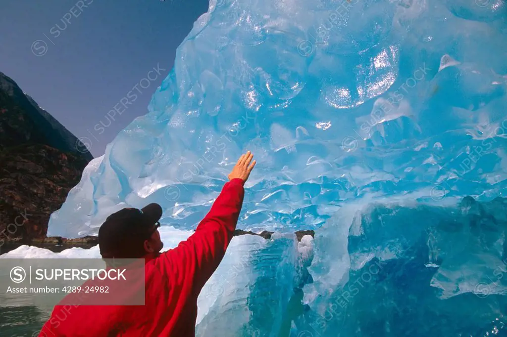Visitor reaches out to touch glacial ice Tracy Arm Fords Terror Wilderness Area Southeast AK Summer