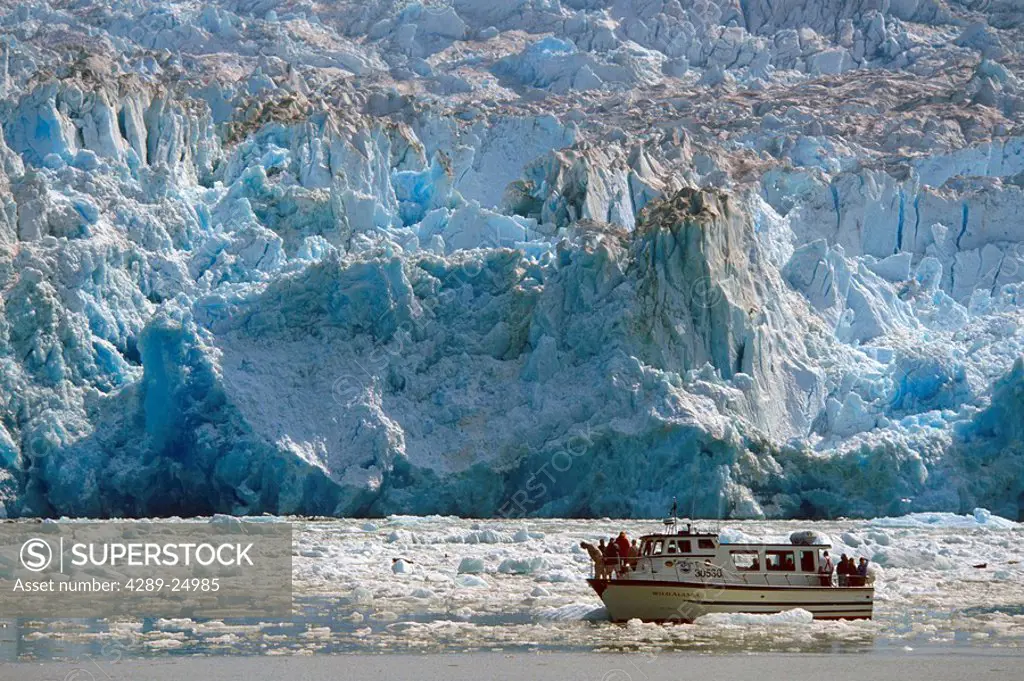 *Wild Alaska* tourboat @ terminus of South Sawyer Glacier Tracy Arm SE AK Summer Fords_Terror
