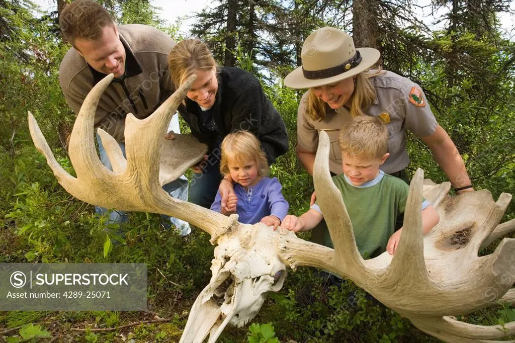 Female US Interpretive Ranger shows a moose antler and skull to a visiting family at the visitor center Denali NP Alaska