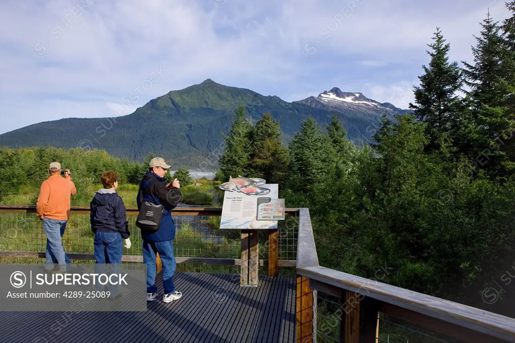 Visitors view an Interpretive display explaining the life cycle of the Sockeye and Silver salmon that return to spawn in Steep Creek, Mendenhall Lake,...