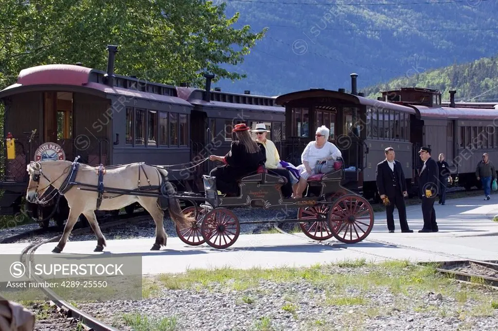 Horse_drawn carriage tour of Skagway Alaska southeast summer