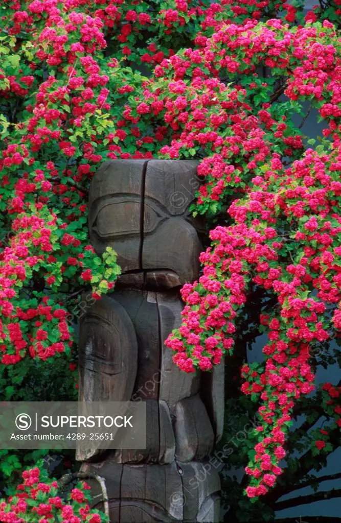 Summer scenic of Tlingit totempole surrounded by flowers Juneau Southeast Alaska