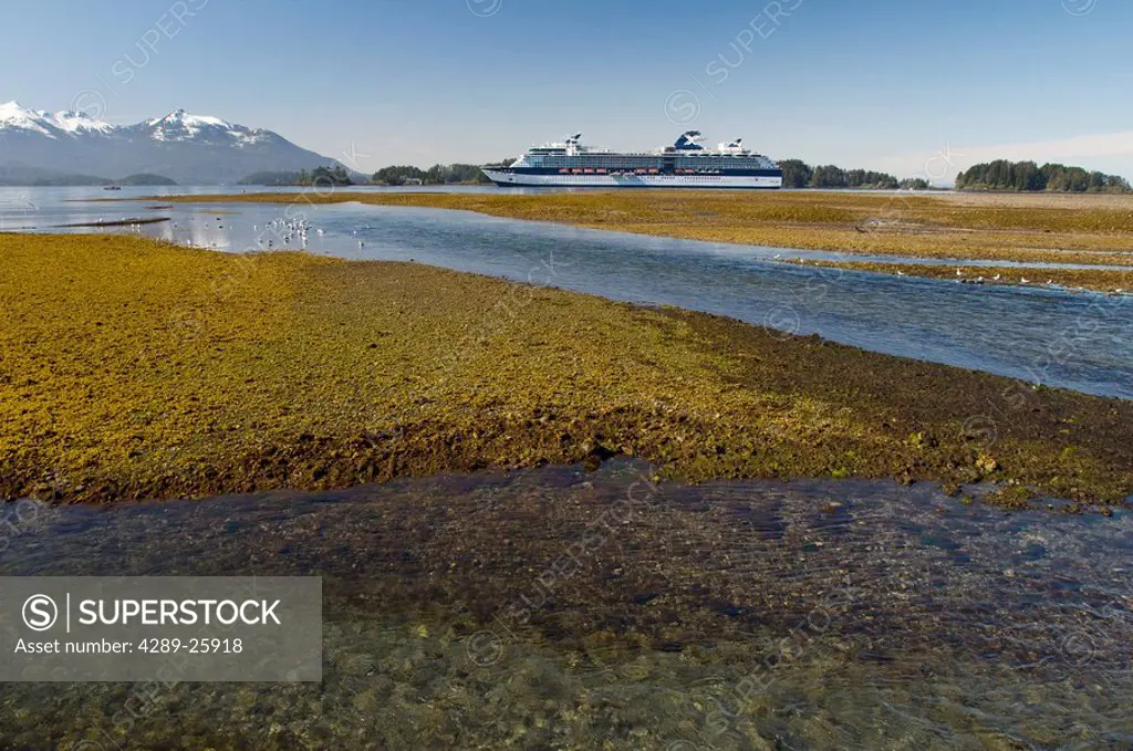 Celebrity Cruise ship Infinity anchored at low tide in Sitka during Summer in Southeast, Alaska