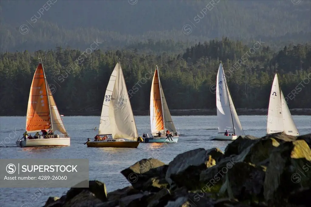 Sailboats race in competition near Ketchikan, Alaska during Summer