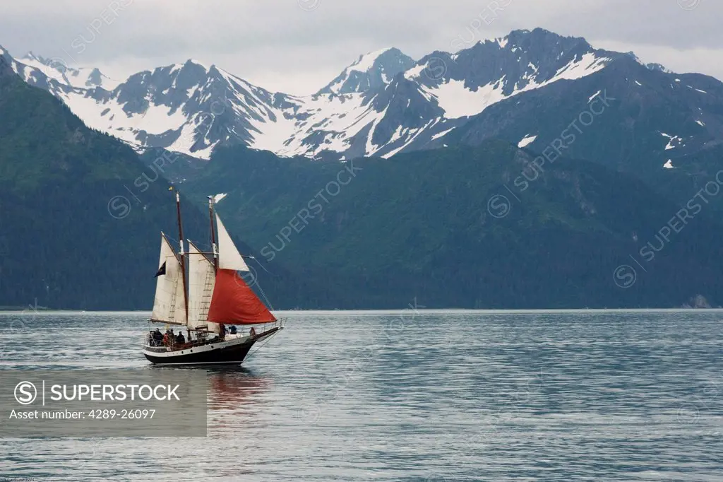View from the Alaska Sealife center of a sailboat in Resurrection Bay with the Chugach National Forest in the background, Seward, Kenai Peninsula, Sou...