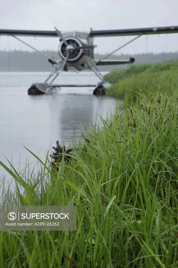 Beaver float plane moored at King Camp, Nushagak River, Alaska