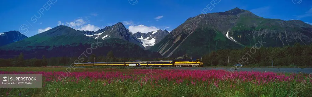 AK Railroad w/Fireweed in Kenai Mtns Seward AK KP Summer