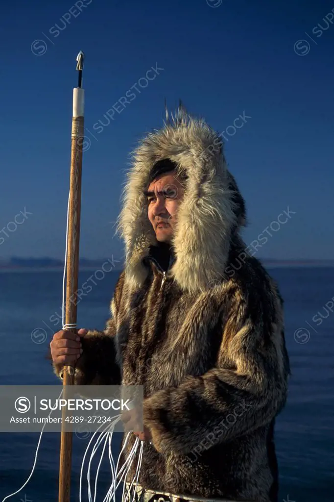 Inupiaq Eskimo w/Harpoon in Traditional Hunting Parka AK