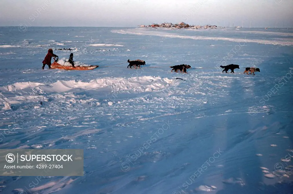Alaska Inupiat Native Eskimo family getting their drinking water with dog sled out on the ice Barrow Alaska