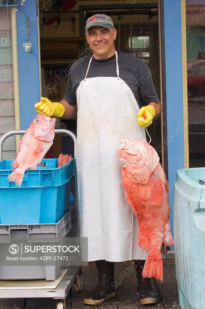 Portrait of Wendel Gilbert plant manager of Tonka Seafoods holding Rockfish Petersburg Alaska Southeast