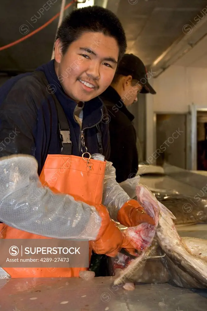 AK Native Aluet Man Processes Halibut @ Atka Pride Seafoods Atka AK SW