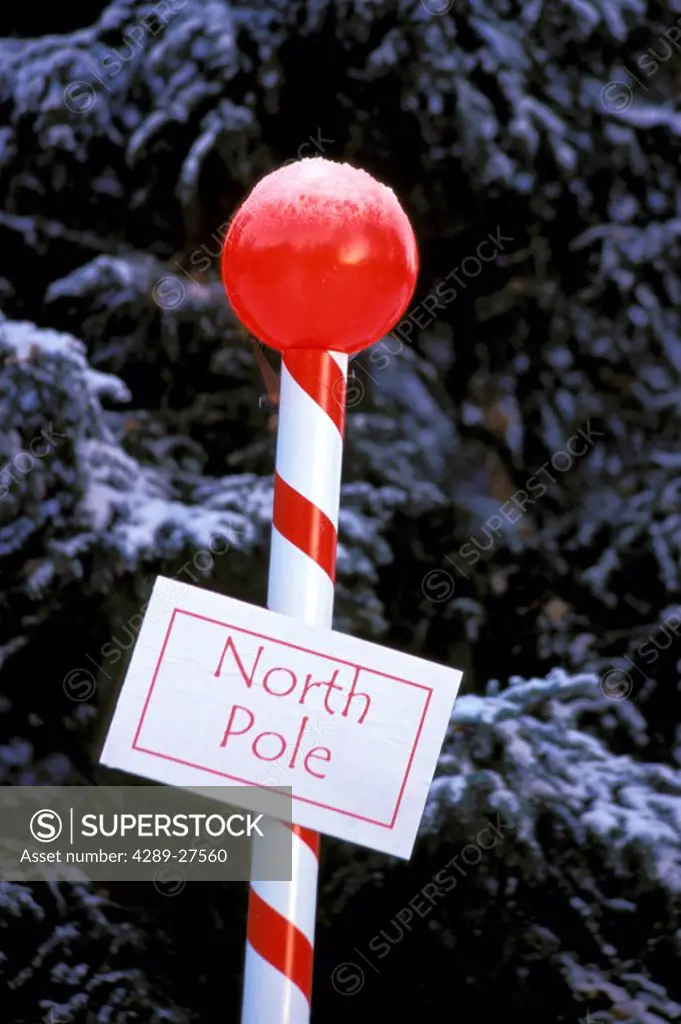 *North Pole* Pole in Forest AK Winter Still Life