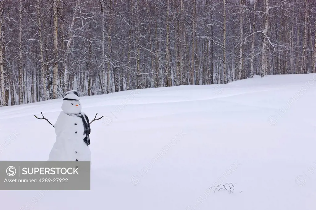 Snowman wearing a scarf and black top hat standing in a snow covered birch forest, Russian Jack Springs Park, Anchorage, Southcentral Alaska, Winter