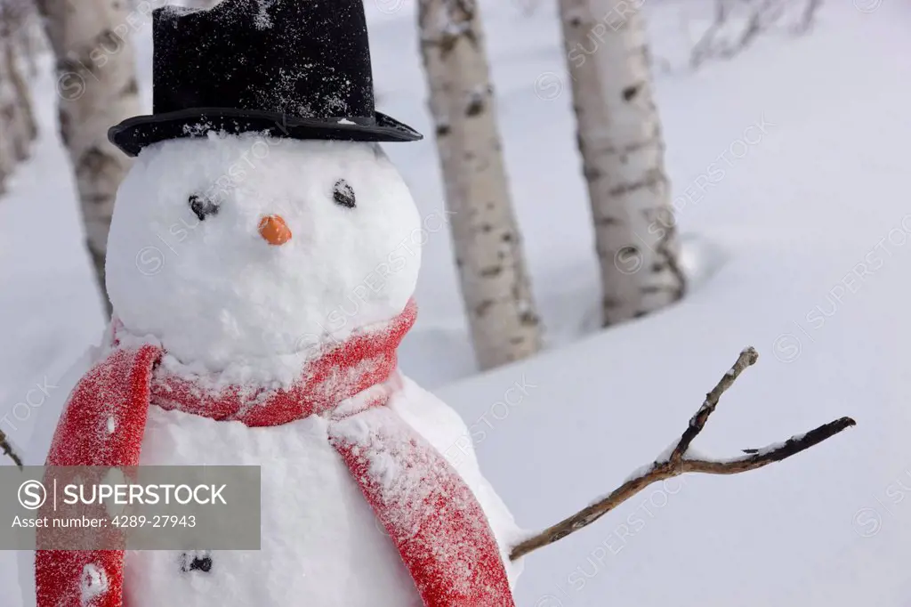 Close up of snowman wearing a scarf and black top hat standing in a snow covered birch forest, Russian Jack Springs Park, Anchorage, Southcentral Alas...