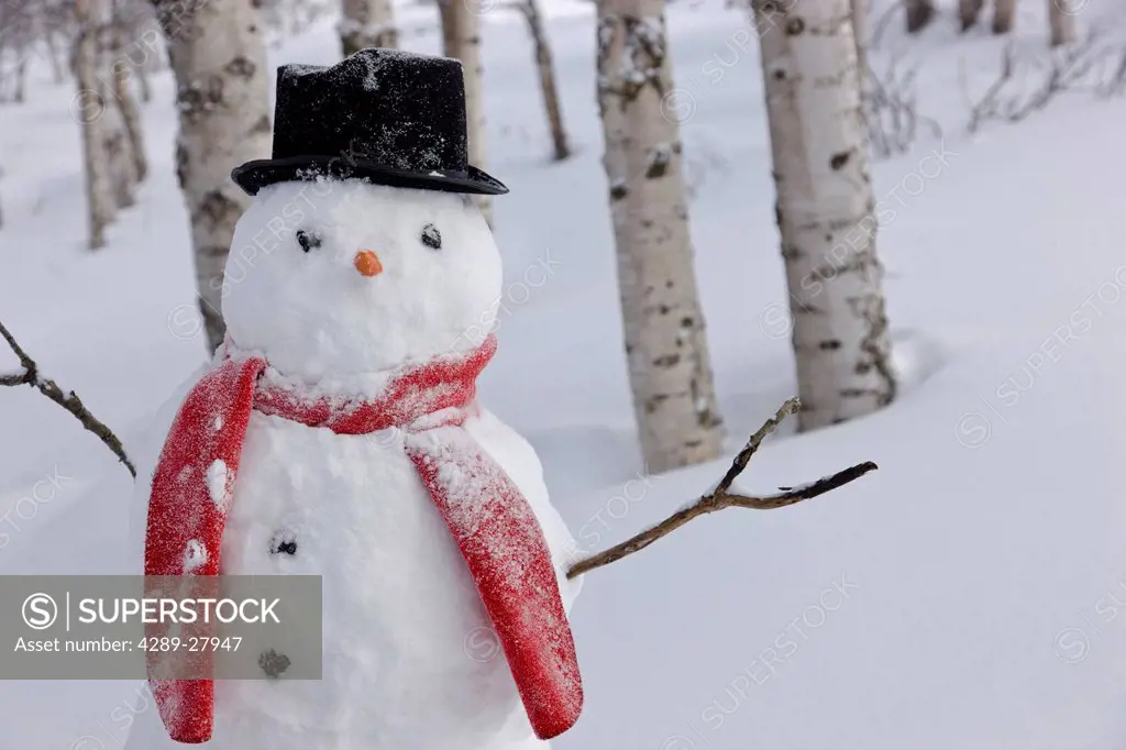 Close up of snowman wearing a scarf and black top hat standing in a snow covered birch forest, Russian Jack Springs Park, Anchorage, Southcentral Alas...