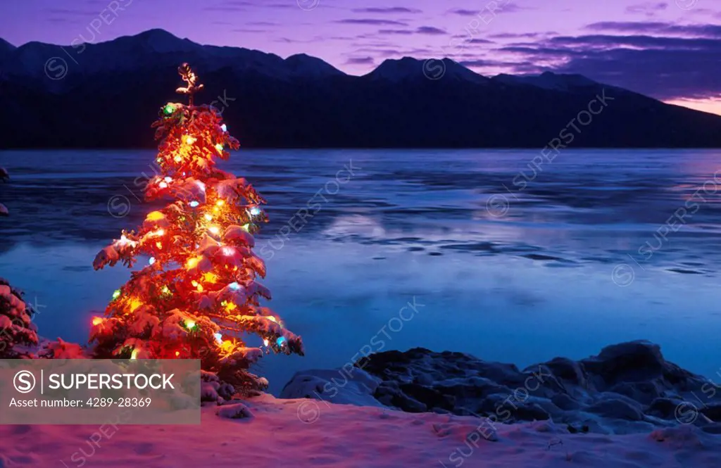 Christmas Tree Lit Turnagain Arm Southcentral Alaska