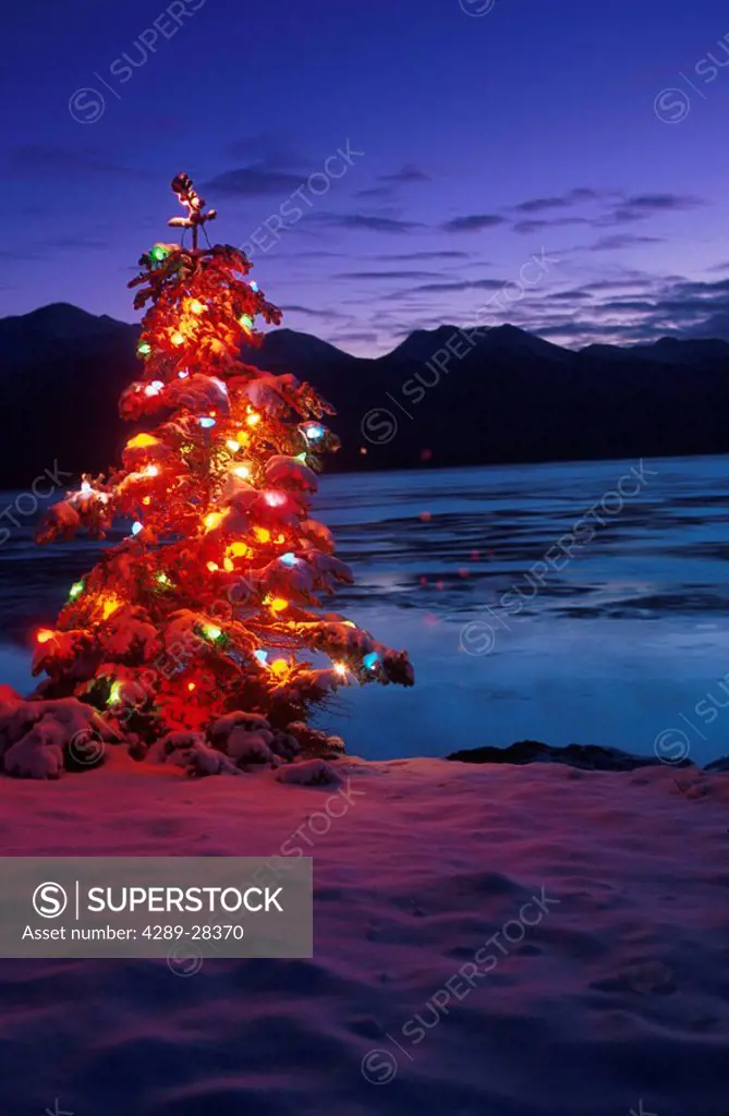 Christmas Tree Lit Turnagain Arm Southcentral Alaska