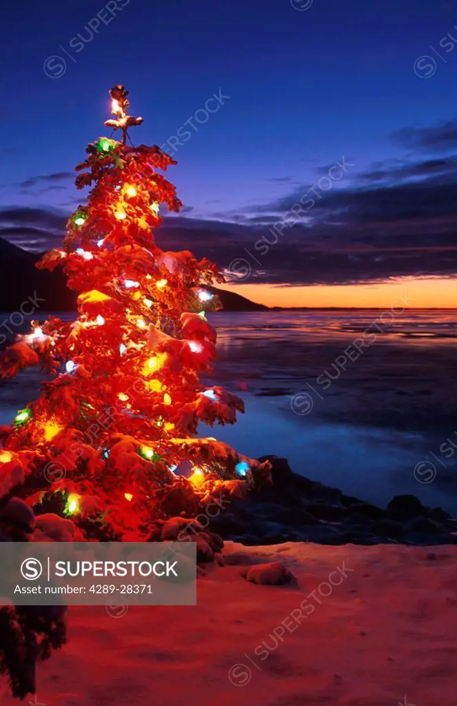 Christmas Tree Lit Turnagain Arm Southcentral Alaska