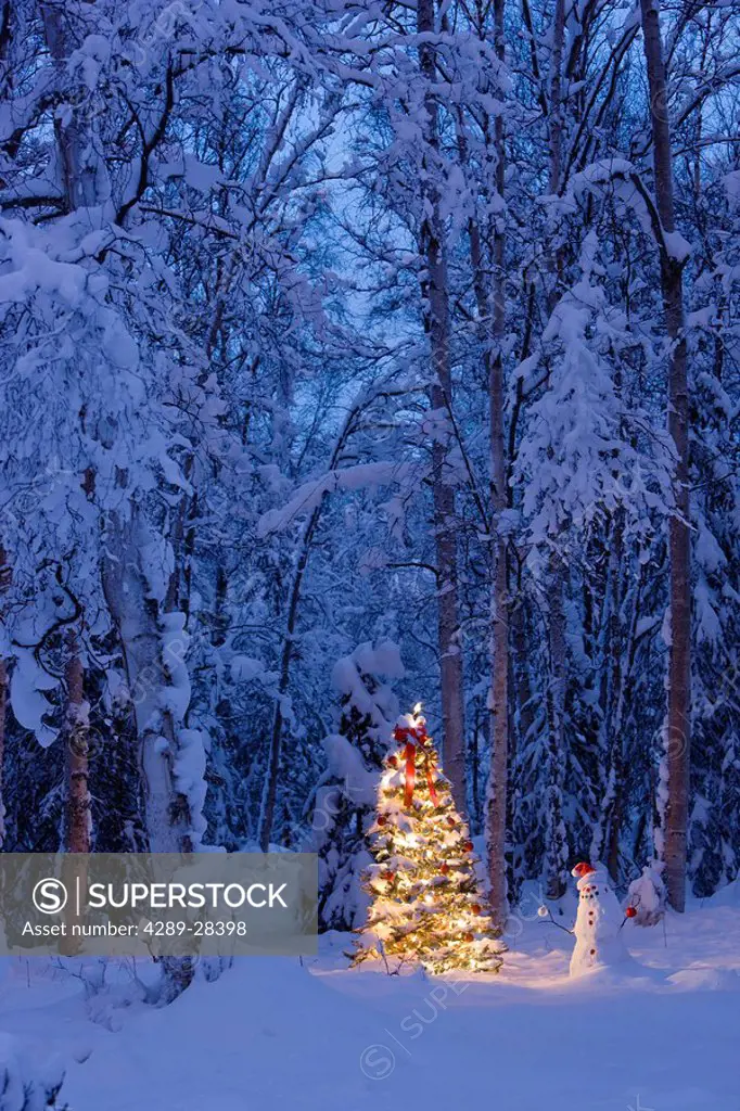 Snowman with santa hat hanging ornaments on a Christmas tree in a snow covered birch forest in Southcentral Alaska