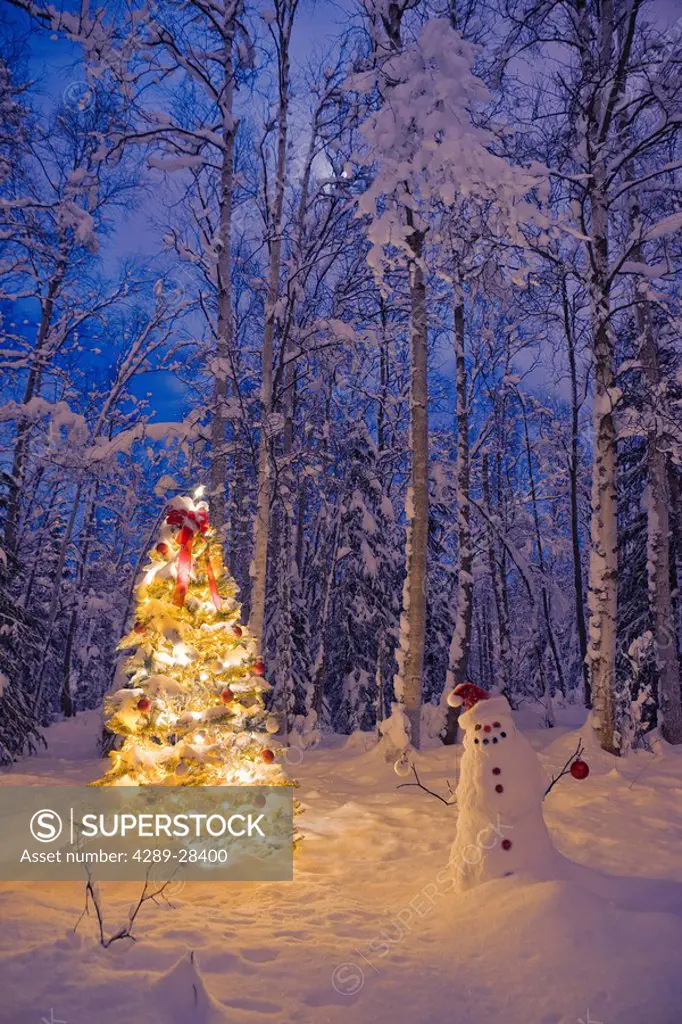 Snowman with santa hat hanging ornaments on a Christmas tree in a snow covered birch forest in Southcentral Alaska
