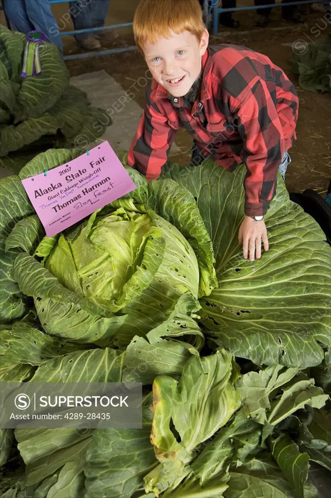 Young boy poses with his 69 pound cabbage at the Alaska State Fair, Palmer, Alaska
