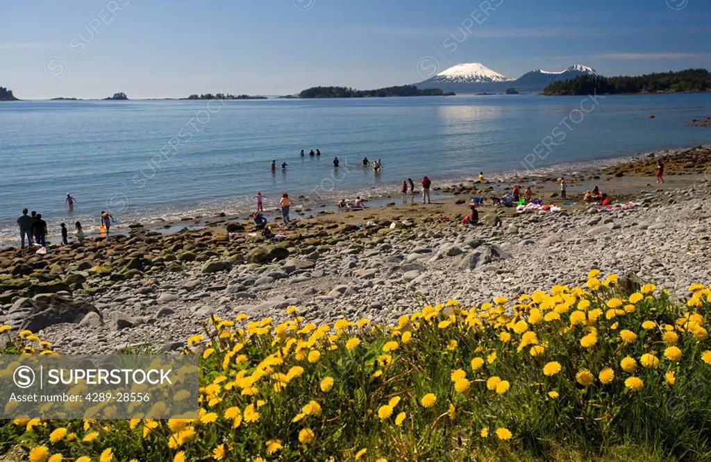 People swimming at Sandy Beach during Summer at Sitka, Alaska