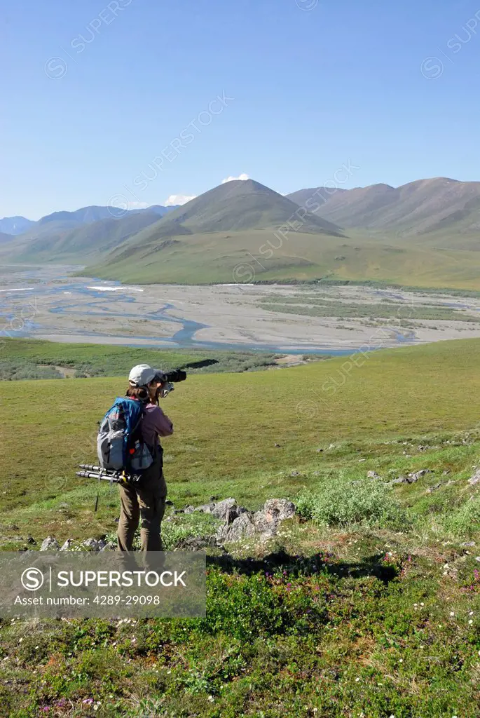 Woman photographing the tundra and scenery along the Kongakut River, ANWR, Arctic Alaska, Summer