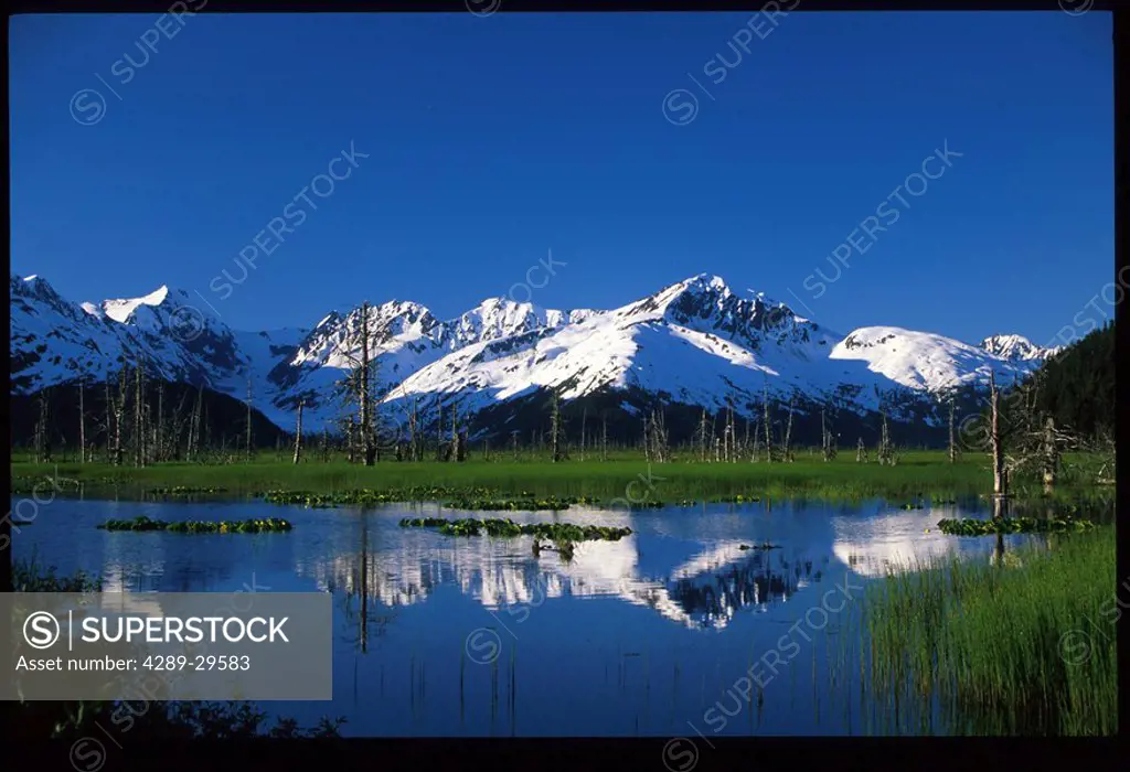 Placer River Valley Kenai Peninsula Alaska summer scenic