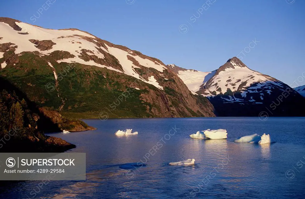 Icebergs on Portage Lake Chugach Mts KP Alaska Summer