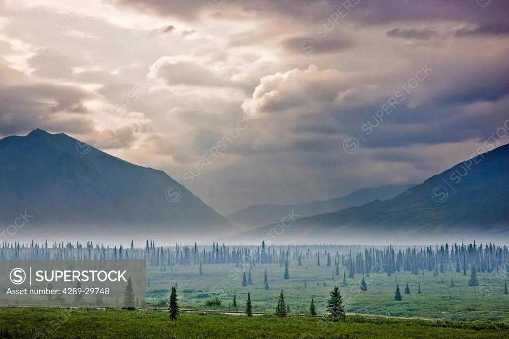 Atmospheric scenic of Broad Pass and boreal forest with smoke from wildfires settling in valley, Southcentral Alaska