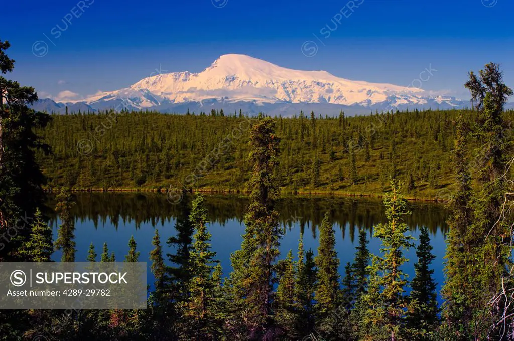 View of Mount Sanford from Long Lake, Wrangell Saint Elias National Park, Southcentral Alaska, Summer