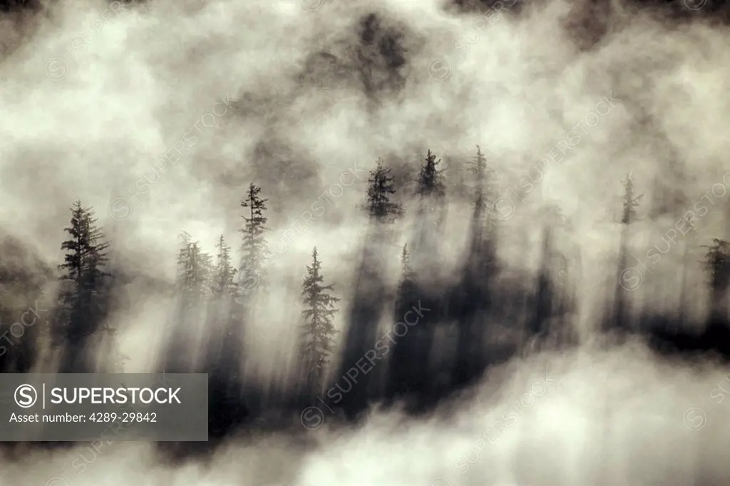 Foggy landscape Stephens Passage Tongass National Forest Summer Alaska /nSoutheast