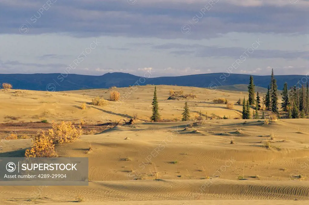 Variable terrain of the Great Kobuk Sand Dunes Kobuk Valley National Park Arctic Alaska Autumn
